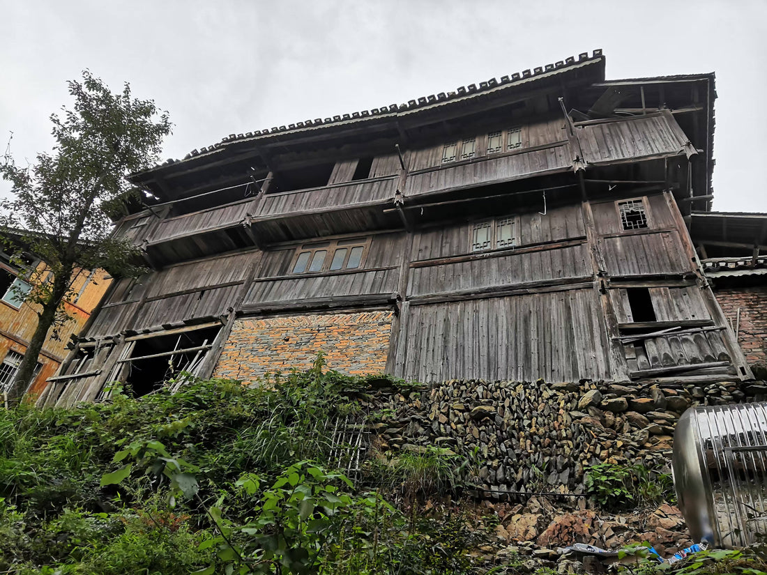 Traditional miao houses