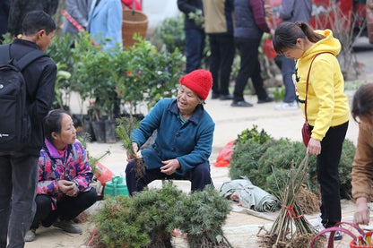 3-Day Tour in Jinping to visit the countryside fair near Guilin