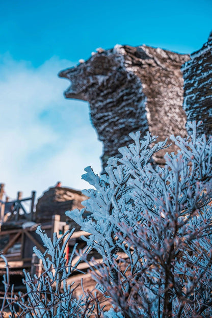 fanjing mountain uder first snow